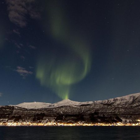 Veien Til Senja Lägenhet Finnsnes Exteriör bild