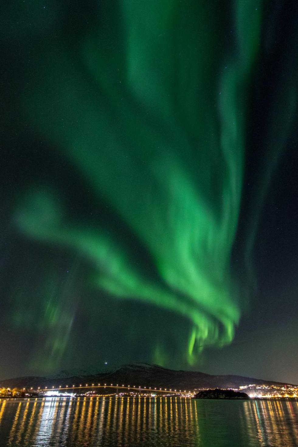Veien Til Senja Lägenhet Finnsnes Exteriör bild